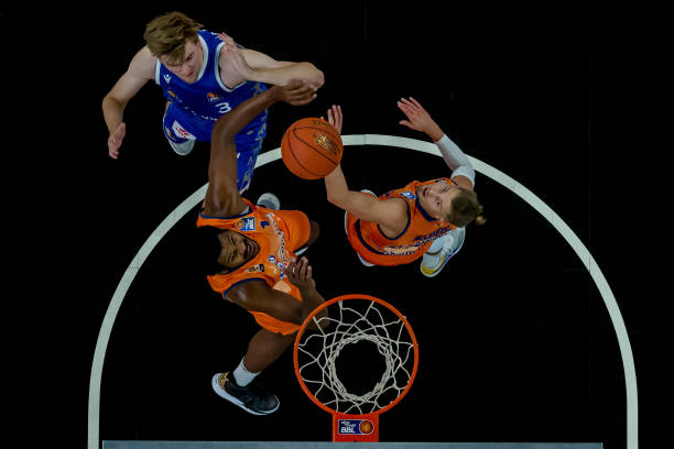 结论性判断 结论性判断